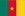 Cameroon detective game