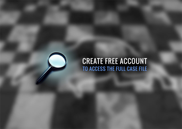 investigation online game