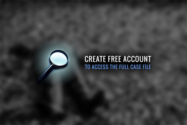 online mysteries game